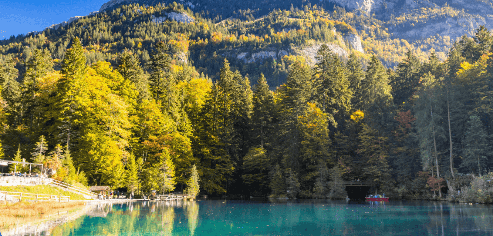 截圖 2025 09 17 中午12.45.39