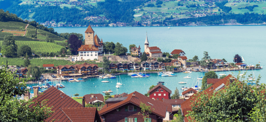 截圖 2025 11 04 下午2.50.02