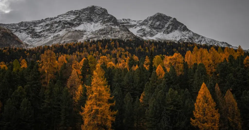 Autumn in Switzerland